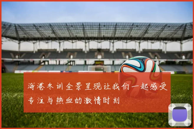 海港冬训全景呈现让我们一起感受专注与热血的激情时刻